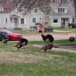 WhatsApp Image 2026-04-08 at 12.01.19 PM (3)