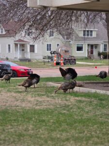 WhatsApp Image 2026-04-08 at 12.01.19 PM (3)